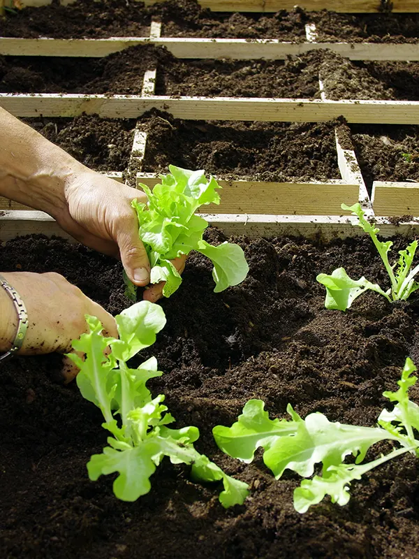 Les specialistes du jardin a votre ecoute